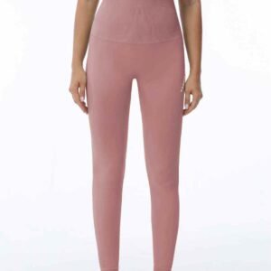 Seamless Yoga Pants Set for Women RUXI zn388